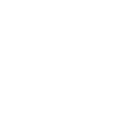 edit ico